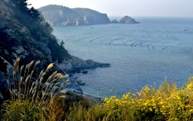 深海甄选，品质惊艳：海晏堂大连海参全国合作伙伴招商进行中